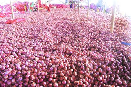 mandsaur farmers protest, Madhya Pradesh farmers, maharashtra farmers crisis, farmers suicides in india, farmers unrest