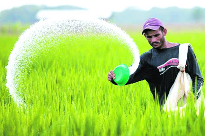pesticide, pesticide companies, pesticide companies registration, farmers, crop prduction