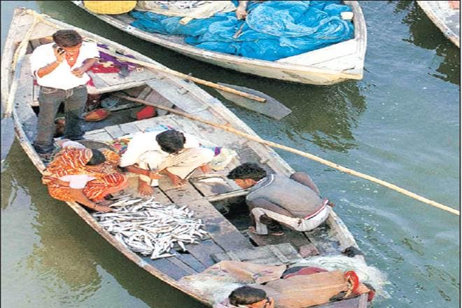 Seafood exports,  European Union, MPEDA, South East Asia, India marine products, global fish production, united state