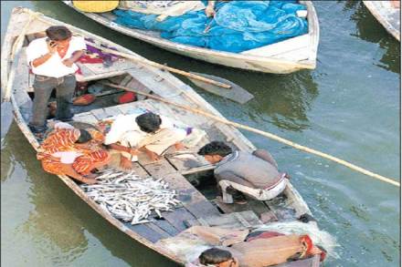 Seafood exports,  European Union, MPEDA, South East Asia, India marine products, global fish production, united state