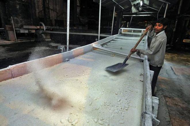 Dwarikesh Sugar, Dwarikesh Sugar Industries Ltd, equity shares, Dwarikesh Sugar Industries Ltd shares, B J Maheshwari