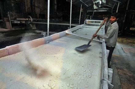 Dwarikesh Sugar, Dwarikesh Sugar Industries Ltd, equity shares, Dwarikesh Sugar Industries Ltd shares, B J Maheshwari