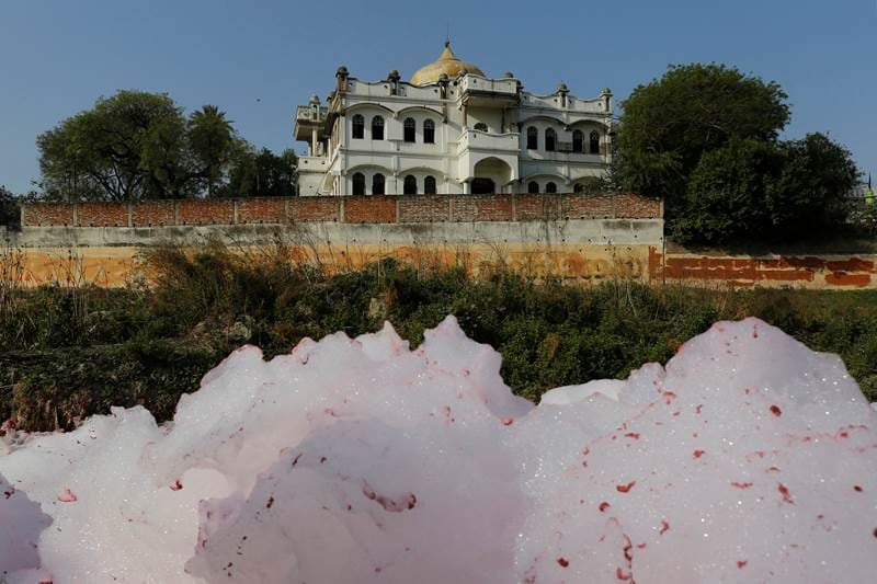 Ganga, ganges, ganga river, ganga pollution, pollution, Sagar, Narendra Modi, GANGES, Water and Other Utilities, Water, Society, Pollution, Health, india news, financial express