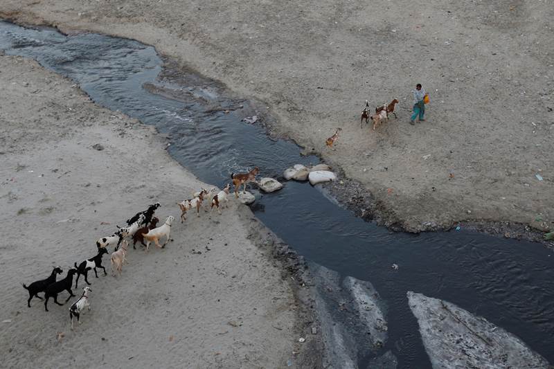 Ganga, ganges, ganga river, ganga pollution, pollution, Sagar, Narendra Modi, GANGES, Water and Other Utilities, Water, Society, Pollution, Health, india news, financial express