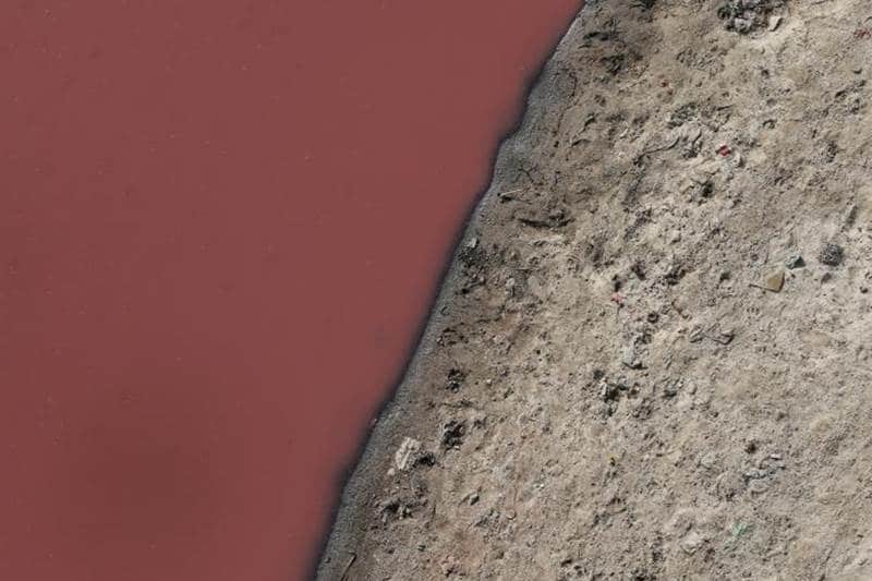 Ganga, ganges, ganga river, ganga pollution, pollution, Sagar, Narendra Modi, GANGES, Water and Other Utilities, Water, Society, Pollution, Health, india news, financial express