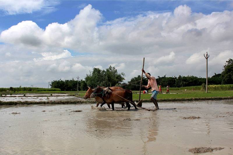 monsoon in india, rains in india, flood across india, monsoon pics, india rains, el nino, rainfall, rain, monsoon, indian ocean, river, mumbai rain, gujarat rain, assam rain, sea, monsoons, heavy rainfall, monsoon pics, india pics