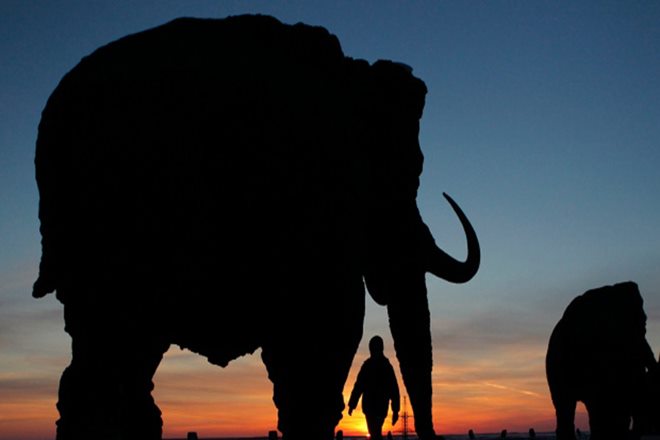sixth mass extinction, all about sixth mass extinction, what is sixth mass extinction, mass extinction, dinosaurs, earth news, sixth mass extinction time