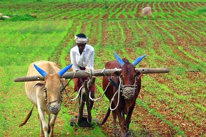 GST, GST impact, GST launched, GST news, gst rollout, gst on fertilizers, tax rate on fertilisers, GST impact on fertilizers, Goods and Services Tax, Ananth Kumar, PM Modi, Narendra Modi, P&K fertilisers, fertilizer smuggling GST, GST impact, GST launched, GST news, gst rollout, gst on fertilizers, tax rate on fertilisers, GST impact on fertilizers, Goods and Services Tax, Ananth Kumar, PM Modi, Narendra Modi, P&K fertilisers, fertilizer smuggling