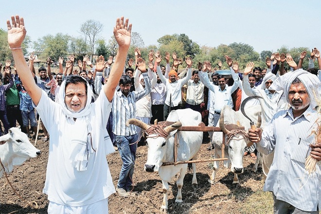 Maharashtra government, Shetkari Ekjuticha Vijay, Maharashtra State PESA Rules, farmers agitation, PESA Rules, farmers wave loan stories, Anil Galgali