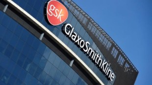 GSK Pharma, GSK Pharma stocks, GSK Pharma stock price, EBITDA loss, EBITDA loss of GSK Pharma, GST roll-out impact, GST roll-out impact on GSK Pharma, GLXO, RoCE