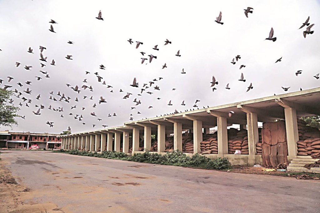 With GST ringing in the government has been true to its promise of introducing GST on July 1. With GST ringing in the government has been true to its promise of introducing GST on July 1.