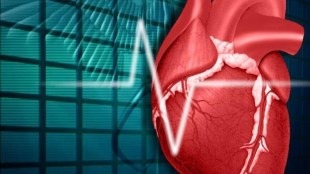 Health, Health News, Heart Problems, Heart Disease, Heart Failure, Heart Rhythm, Mika Kivimaki, University College London, Financial Express