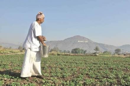 farm loam, financial express editorial, Arvind Subramanian, msp, minimum support price