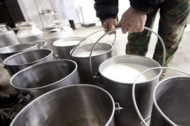 Monsoon in India, Monsoon report, Rain hits Gujarat milk procurement, rainfall, rainfall in india, rainfall in Gujarat, Banas diary, Gujarat milk procurement, Air Force, Army, NDRF, BSF, SDRF, IMD Monsoon in India, Monsoon report, Rain hits Gujarat milk procurement, rainfall, rainfall in india, rainfall in Gujarat, Banas diary, Gujarat milk procurement, Air Force, Army, NDRF, BSF, SDRF, IMD