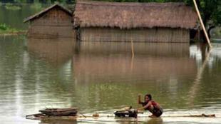 Bangladesh, India, Assam floods,  Bangladesh prepare for floods, Bangladesh Flood, Department of Agricultural Extension, Brahmaputra 