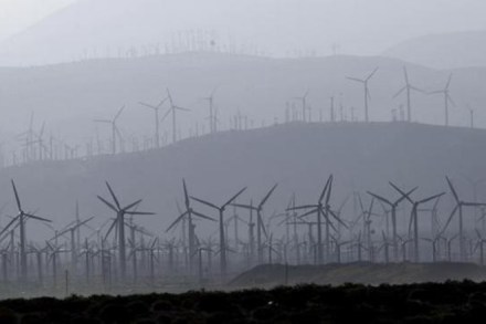 Renewable energy capacity is likely to reach 30% by FY19. (Reuters) Renewable energy capacity is likely to reach 30% by FY19. (Reuters)