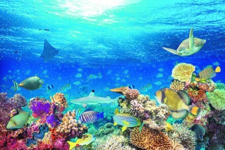 The ocean has deep secrets. It is a world as vibrant as the one outside.