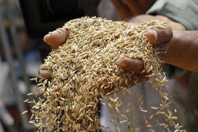 European Union, European Union india, eu india, European Union rice import, European Union rice import, European Union decision on rice import, European Union basmati rice, European Union basmati rice import, india basmati rice export, All India Rice Exporters Association, airea