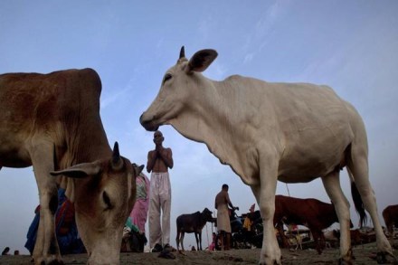 Guwahati, Cow vigilantes,  Hindu Yuba Chhatra Parishad, Guwahati district, Dimoria unit , District Transport Officer , catttle ban, beef ban gau rakshaks