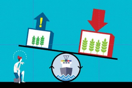 import in india, export in india, problem in import, problem in export, export in indian economy import in india, export in india, problem in import, problem in export, export in indian economy