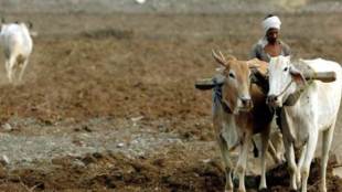 farm laon wavers, modi reforms, indian agriculture sector, farmer's loan waving, agricultural reforms