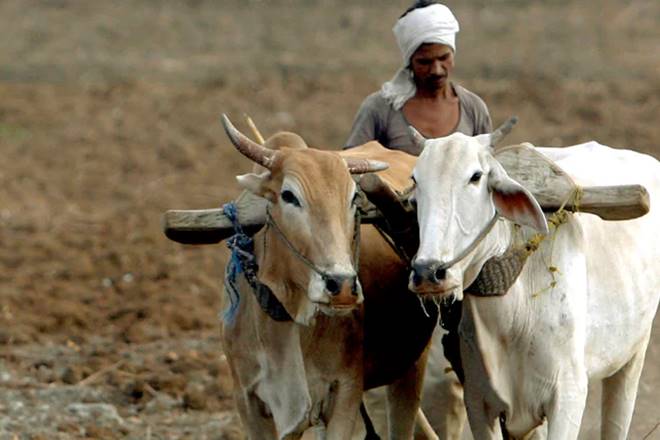 yogi adityanath, uttar pradesh government, uttar pradesh farmers, farmers, farmers uttar pradesh, farm loan waiver