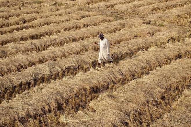 farmers, landless farmers, farmers crisis, farm loan waiver, demonetisation, farmers debt farmers, landless farmers, farmers crisis, farm loan waiver, demonetisation, farmers debt