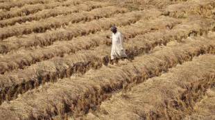 farmers, landless farmers, farmers crisis, farm loan waiver, demonetisation, farmers debt
