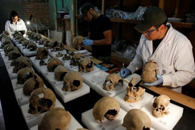 Drug companies, artificial intelligence, Glaxo Smith Kline, Medicine, AI, pharmaceutical, Merck & Co