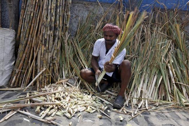 Monsoon, Huge fall in sugar, sugar year, Import, industry circles
