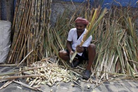 Monsoon, Huge fall in sugar, sugar year, Import, industry circles