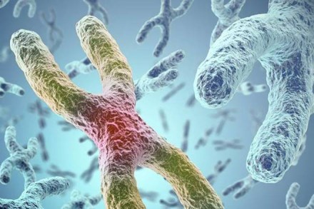 Food and Drug Administration, FDA, Chimeric Antigen Receptor T-cell, Novartis, University of Pennsylvania, lymphoblastic leukaemia