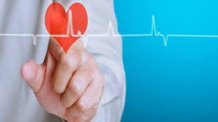 calcium, cholestrol, heart stroke, Marek Michalak, University of Alberta, Marek Michalak University of Alberta, high blood cholesterol