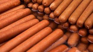 germany, pork, germany hot dogs, hot dogs producer germany, pork in germany