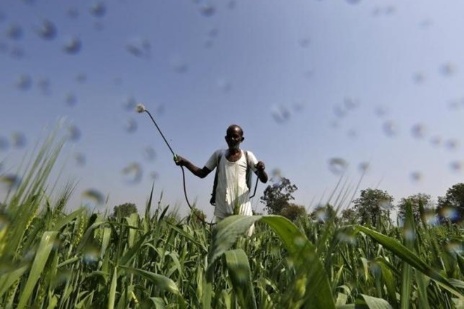Fasal Bima Yojana, farmer Fasal Bima Yojana, farmer