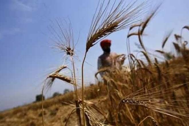 maharashtra farmers, tamil nadu, gst, goods and services, gst news, gst latest news maharashtra farmers, tamil nadu, gst, goods and services, gst news, gst latest news