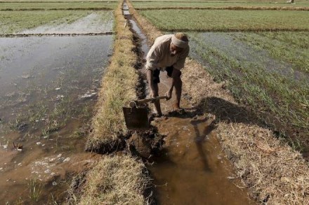 maharashtra, maharashtra farm crisis, farmers market, maharashtra farmers, india, india news