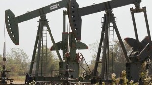 OPEC, OPEC meeting, WTI,  US oil stocks, US crude, Wang Tao