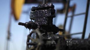 oil, oil prices, oil prices today, opec, market, market news, financial express market news