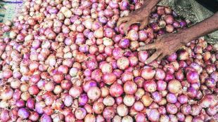 Onions, onion prices, Union ministry of consumer affairs, Onion prices at Lasalgaon, APMC, 