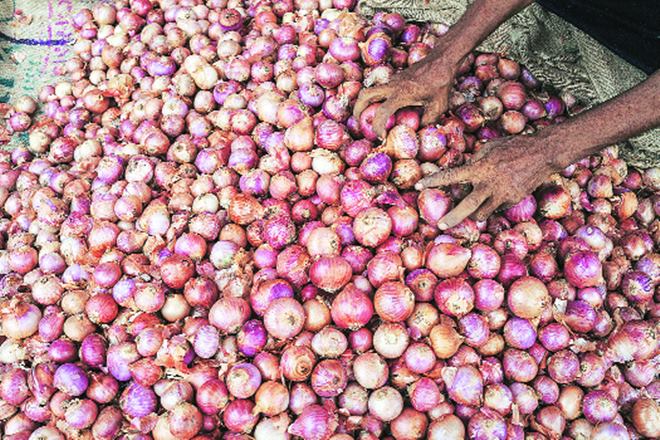 Onions, onion prices, Union ministry of consumer affairs, Onion prices at Lasalgaon, APMC, 
