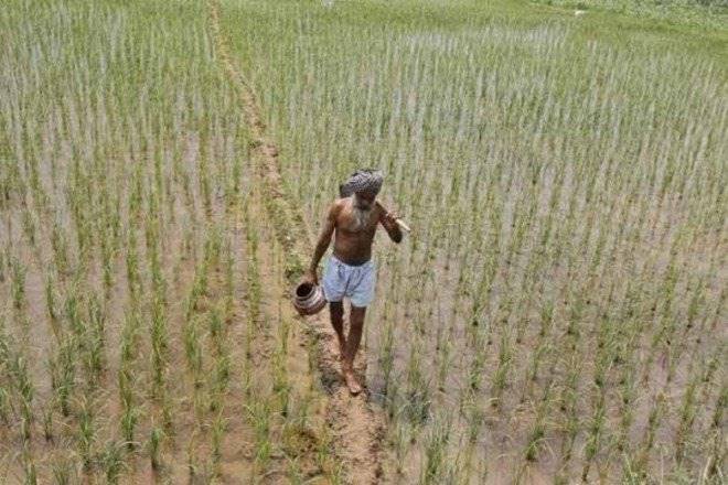 Punjab, agriculture, GST, green revolution