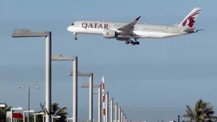 Bovine airlift, Qatar, Germany, Gulf country, Power International Holding, Saudi Arabia, natural gas industry, Moutaz Al Khayyat