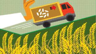 Farm production, rice, India, Bangladesh