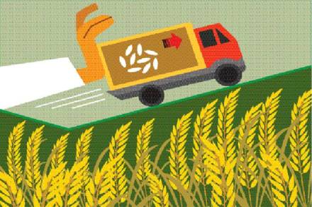 Farm production, rice, India, Bangladesh
