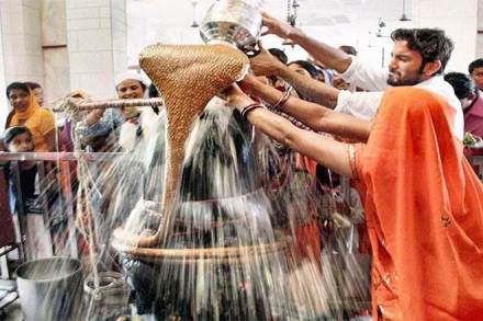 Kanwar Yatra, Neelkanth, Kashi Vishwanath, Jyotirlings, Uttar Pradesh, Shravan, Shravan Month, Financial Express Kanwar Yatra, Neelkanth, Kashi Vishwanath, Jyotirlings, Uttar Pradesh, Shravan, Shravan Month, Financial Express