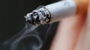 cigarettes, smoking, smoking habit, smoking harmful effects, French National Centre for Scientific Research, University of Paris-Seine's Neuroscience Laboratory, Nice Sophia Antipolis' Institute of Molecular, Cellular Pharmacology