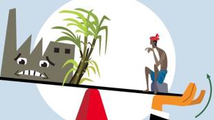 sugar business, sugar production india, sugar business india, sugar mills, sugar farmers, sugar industry india, Haryana, UP, Uttarakhand, Maharashtra, Tamil Nadu