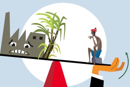 sugar business, sugar production india, sugar business india, sugar mills, sugar farmers, sugar industry india, Haryana, UP, Uttarakhand, Maharashtra, Tamil Nadu sugar business, sugar production india, sugar business india, sugar mills, sugar farmers, sugar industry india, Haryana, UP, Uttarakhand, Maharashtra, Tamil Nadu