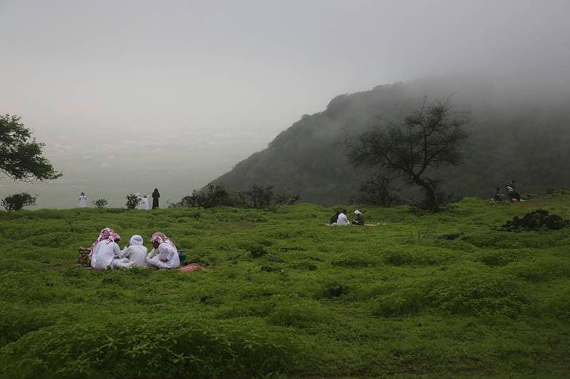 oman, salalah, oman monsoon, monsoon in oman, salalah monsoon, travel oman monsoon, tourist, monsoon, desert, rain, fog, monsoon festival, oman pics, salalah pics, saudi arabia